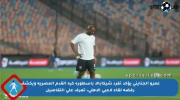 عمرو الجنايني يؤكد تفرد شيكابالا بأسطورة كرة القدم المصرية ويكشف رفضه لقاء لاعبي الأهلي، تعرف على التفاصيل